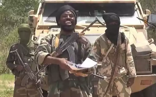20 Boko Haram members surrender in Niger